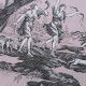 EB - Toile de Jouy Diane Rose en percale - 50 cm